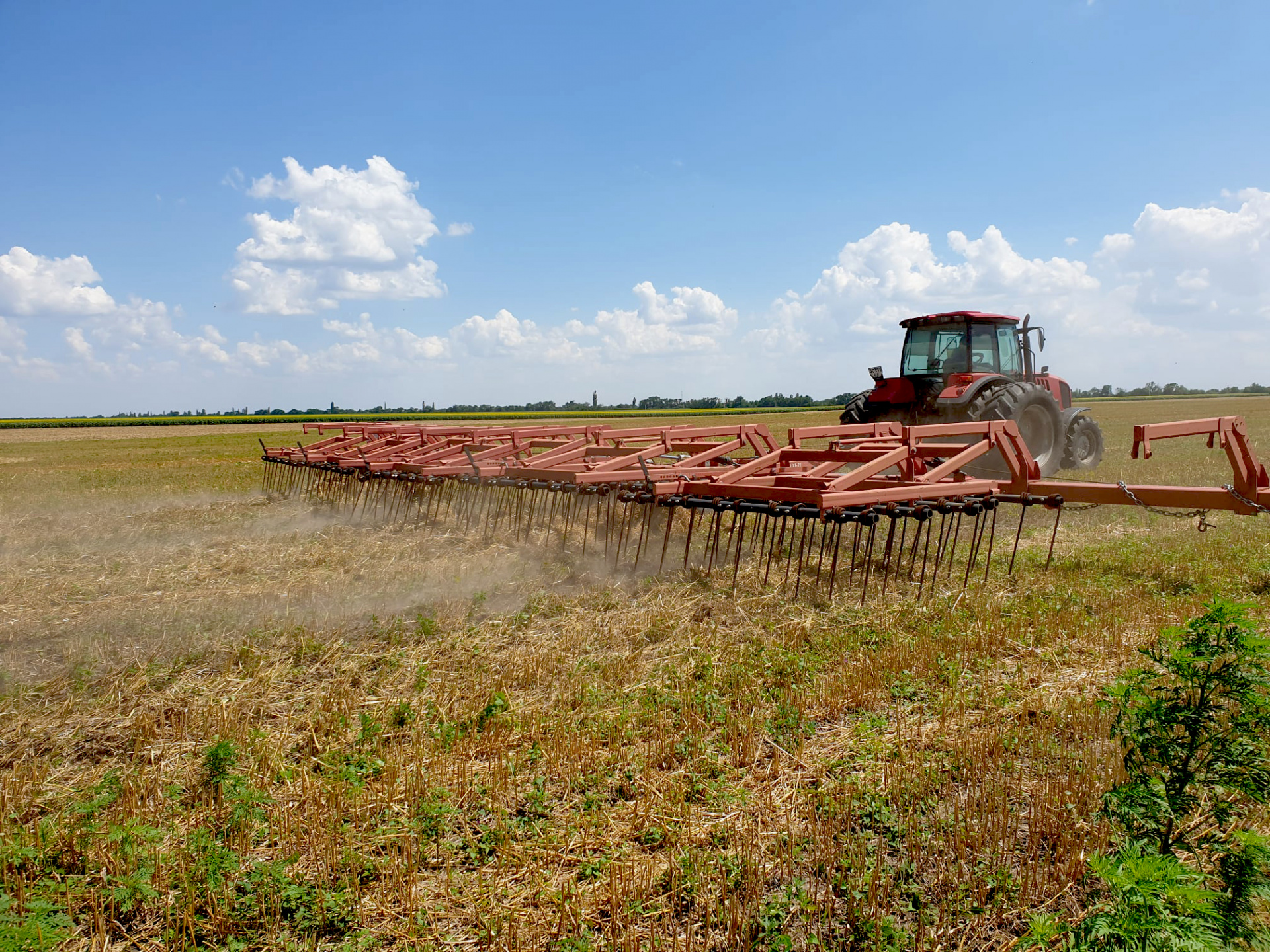 234574658_192443682938673_597270556853458805_n.jpg 234574658_192443682938673_597270556853458805_n.jpg